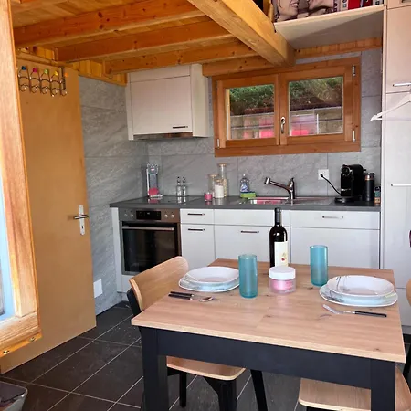 Petit Du Leigier Appartement Nax