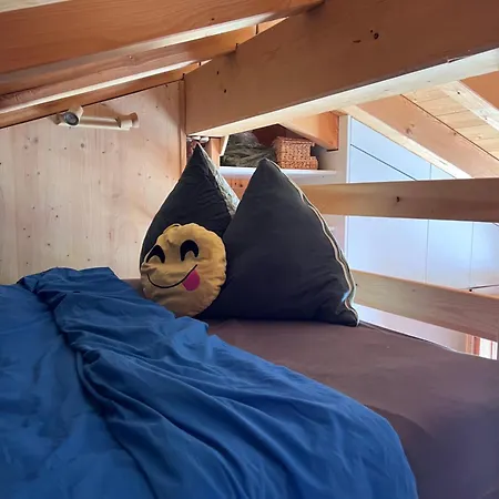 Petit Du Leigier Appartement Nax
